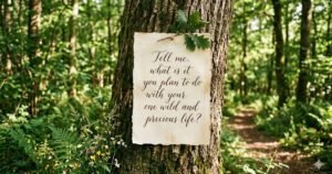 mary oliver quotes